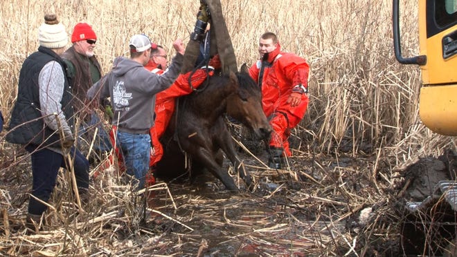 North Smithfield firefighters in exposure suits and others use fire hoses and an excavator to lift a horse that was trapped in a swamp muck near Pound Hill Road on Saturday morning. [Matt Gregoire]