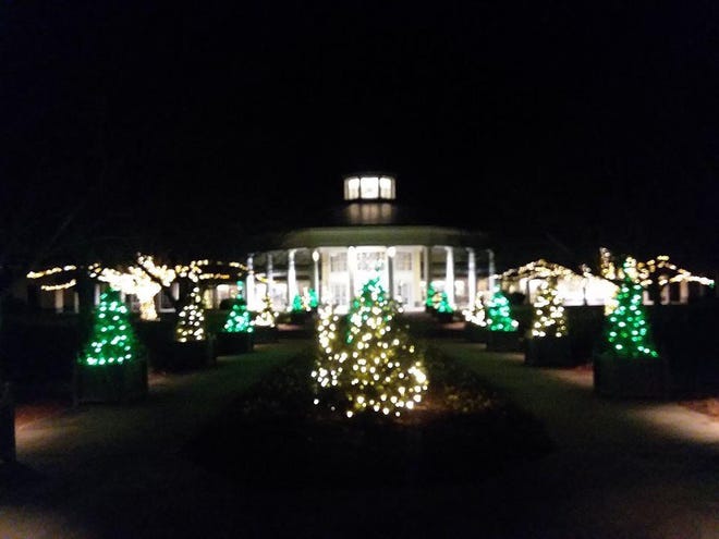 The last night of the Christmas lights at Daniel Stowe Botanical Garden. [PHOTO BY BILL SPURRIER]