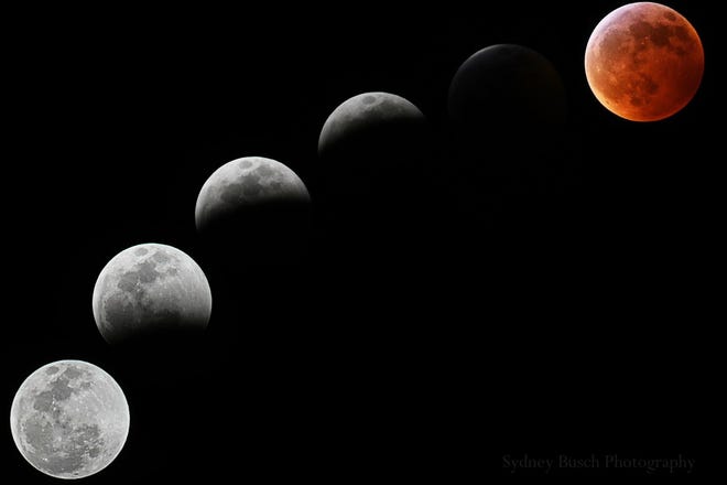 Richmond Hill photographer Sydney Busch took advantage of the clear conditions Sunday night to create a composite of several images of the moon phases leading up to the eclipse and wolf moon. [Sydney Busch]