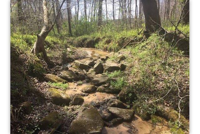 PROTECTING WILDLIFE — The 10-acre property is a mix of field and mature hardwood forest. (Photo courtesy Three Rivers Land Trust)