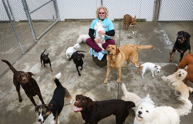 Bubbles & Bows owner Deb Elliot is the founder of DOGS On A Mission ministry. [JOHN CLARK/THE GASTON GAZETTE]