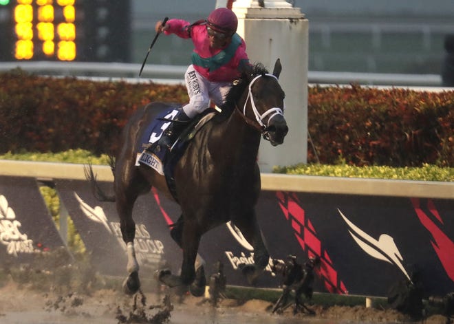 Javier Castellano crosses the finish line aboard City of Light to win the Pegasus World Cup Invitational Horse Race, Saturday at Gulfstream Park in Hallandale Beach. (AP Photo/Lynne Sladky)