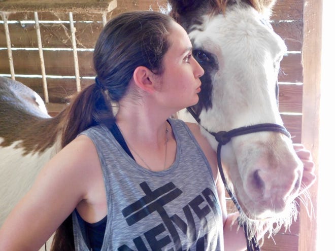 Elizabeth "Elle" Finn, 15, a sophomore at Sarasota Military Academy, bonded quickly with 30-year-old Sebastian. She participates in equine-assisted therapy offered by JoAnn Tomer at Circle W Ranch off Fruitville Road east of Sarasota.¬† [HERALD-TRIBUNE PHOTO / VICKI DEAN] (Dec. 8, 2018)