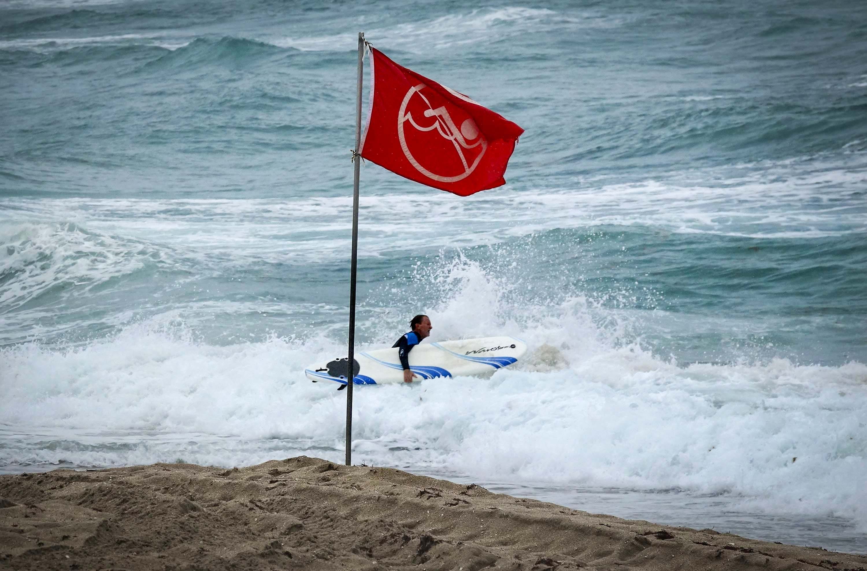 A tornado touched down, ripped up trees and power poles in Florida