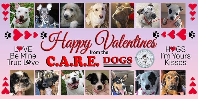 The local animal rescue C.A.R.E., or Clifford's Army Rescue Extravaganza, is selling Valentine's Day cards for $5 through Feb. 9. The cover photo features dogs available for adoption. [Special to The Star]