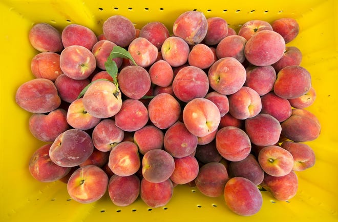 Peaches, plums and nectarines sold in more than a dozen states are being recalled. [JAY JANNER/AMERICAN-STATESMAN]