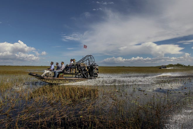 Alligator Ron Bergeron takes then-GOP Florida Gubernatorial candidate Ron DeSantis and some of DeSantis’ staff on an airboat tour of the Florida Everglades on Sept. 12, 2018. [Patrick Farrell/Miami Herald file via TNS]