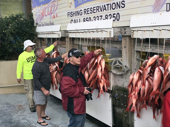 Anglers took turns pulling down their stringers to take photos earlier this week behind the Swoop at HarborWalk Marina. [TINA HARBUCK/THE LOG]