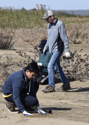 Volunteers work as part of a group that recently planted more than 3,300 trees and grass patches to bolster a coastal-restoration project near Venice. [BTNEP]