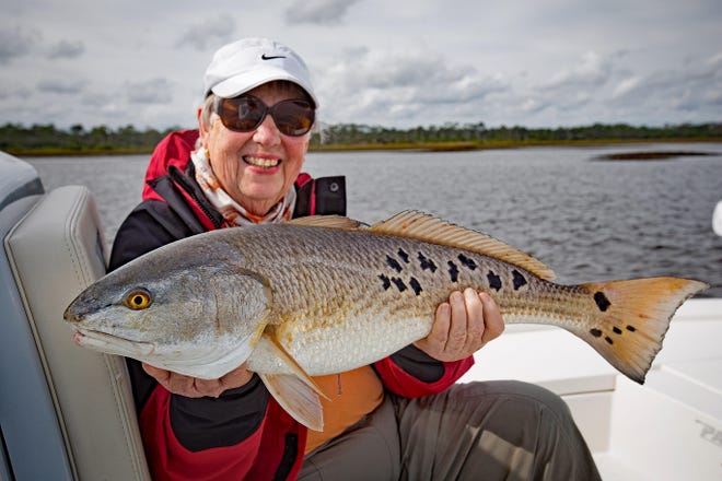 Nancy Woods, a part-time resident, took this over-slot redfish — with a genetic propensity for spots — fishing with Captain Tommy Derringer just south of the 312 bridge. Most biologists believe the normal single spot on the tail was engineered through evolution to trick predators into attacking the southbound end of a northbound red. [Contributed]