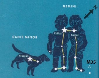 The constellation Gemini the Twins, and Canis Minor the Little Dog. In the mid-evening in late February, Gemini is in the southern sky, with Castor and Pollux to the left.

http://pachamamatrust.org