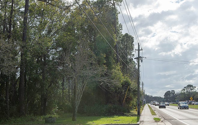 A developer is hoping to get permission to build three commercial office buildings on the 14.57 acres of land on the east side of State Road 207 between News Place and Dobbs Road Cutoff in St. Augustine. [PETER WILLOTT/THE RECORD]