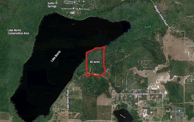 The recently purchased 83 acres is marked in red near Lake Norris. [Google Maps]