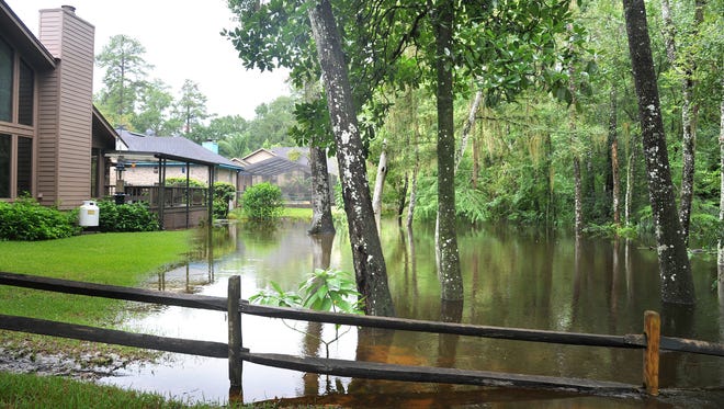 Water from Pottsburg Creek creeps past trees toward Southside Jacksonville hoimes in the 2017 photo. [File/Florida Times-Union]
