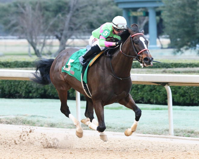 Amy's Challenge races to victory Saturday, March 2, 2019, in the $100,000 Spring Fever Stakes at Oaklawn Park in Hot Springs. [OAKLAWN MEDIA RELATIONS]