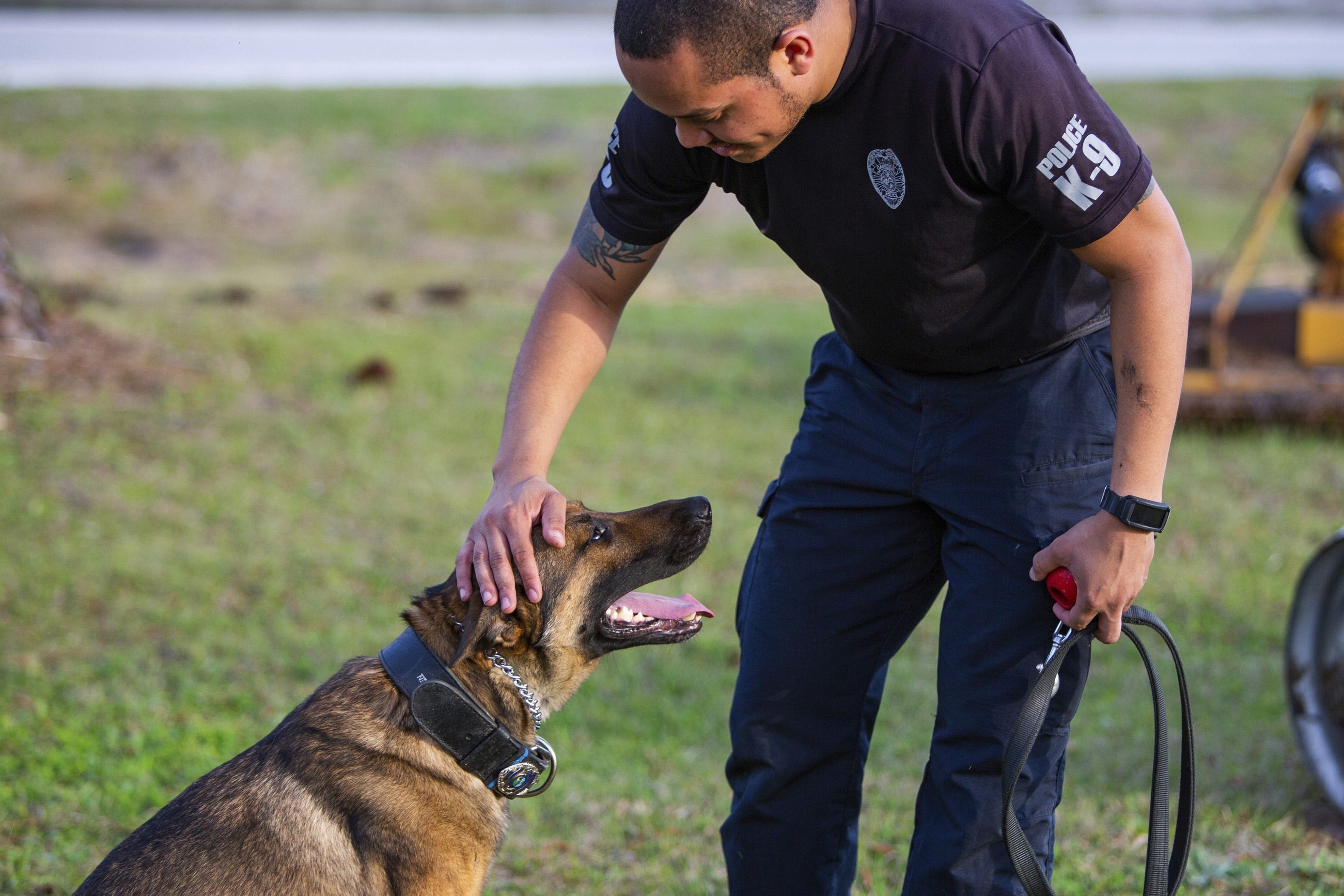 What Is The Penalty For Killing A Dog