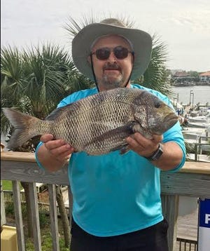 Richard Rogers of Choctaw Beach shows off his 8.01-pound sheepshead that took first place in the fifth annual Destin Sheepshead Shootout at The Ships Chandler over the weekend. [CONTRIBUTED PHOTO]