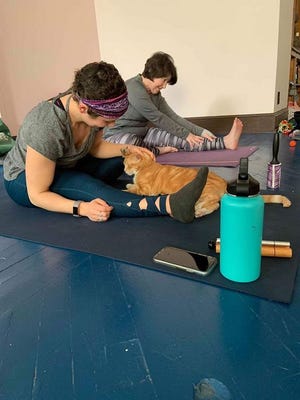 Yoga instructor Tracie Cline pets a cat while Cheryl Tharp stretches during a recent cat yoga session at the Antietam Humane Society. Cat yoga at the Alexander Hamilton Memorial Free Library in Waynesboro on March 23 at 2:30 p.m. (PROVIDED PHOTO)