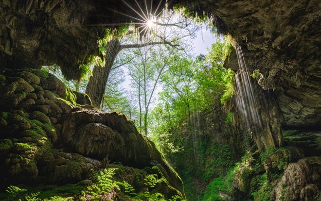 Westcave Preserve is a collapsed grotto like Hamilton Pool. [Contributed by Marshall Foster]