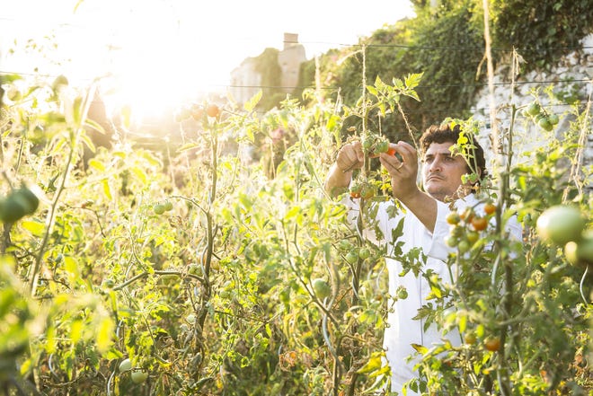 Michelin-starred chef Mauro Colagreco works in his garden at Mirazur in southern France. Colagreco partnered with the Four Seasons Palm Beach to open his first U.S. restaurant, Florie's, in December 2018. [Photo by Matteo Carassale]