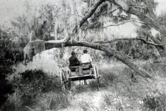 Marion County will celebrate its 175th anniversary with a big community event on Saturday at the McPherson Governmental Complex in Ocala. This image from one of the "The Way It Was" columns by former Star-Banner editor and writer David Cook shows a wagon traveling along the rutted dirt road that decades later became State Road 19 on the Eastern edge of Marion County. The men may have been on their way to Silver Glen Springs in the early 1900s. [Credit: Richard Mills]