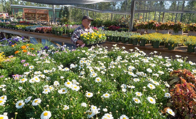The Flower & Garden Expo will feature dozens of vendors offering an abundance of flowers, plants, gardening items and more at the St. Johns County Agricultural Center. [THE RECORD/FILE]