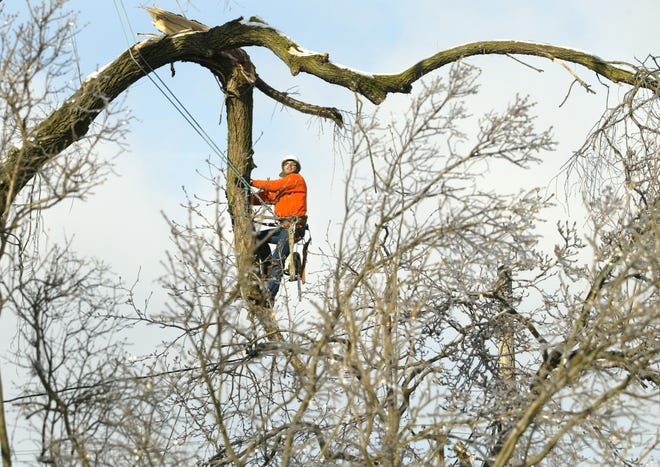 A workers with Asplundh tree company trims Reynoldsburg trees for AEP in this 2004 photo. (Columbus Dispatch Photo by Lisa Marie Miller)