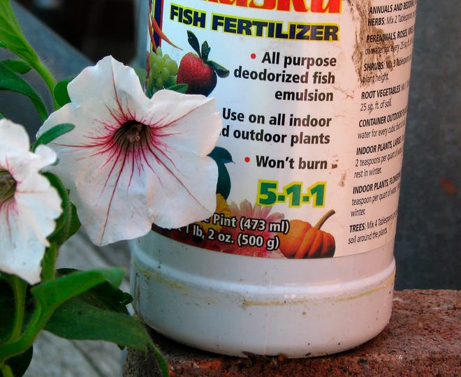 Houseplant fertilizer can be fertilized in a variety of ways, and a soluble, organic fertilizer derived from fish is one such way.