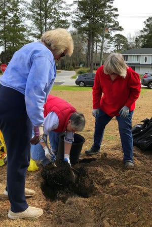 River Bend Garden Club members planted two young dogwood trees at the Town Commons. The trees were donated by Tom Lamanna in memory of his parents. [CONTRIBUTED PHOTO]