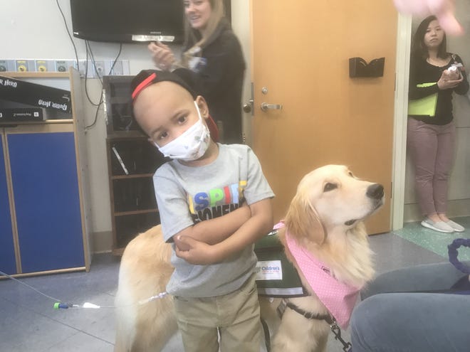 Patient King Brown, 3, strikes a pose Wednesday with his new friend, Casey the therapy dog, at Children's Hospital of Georgia where the new dog was being introduced. [TOM CORWIN/THE AUGUSTA CHRONICLE]