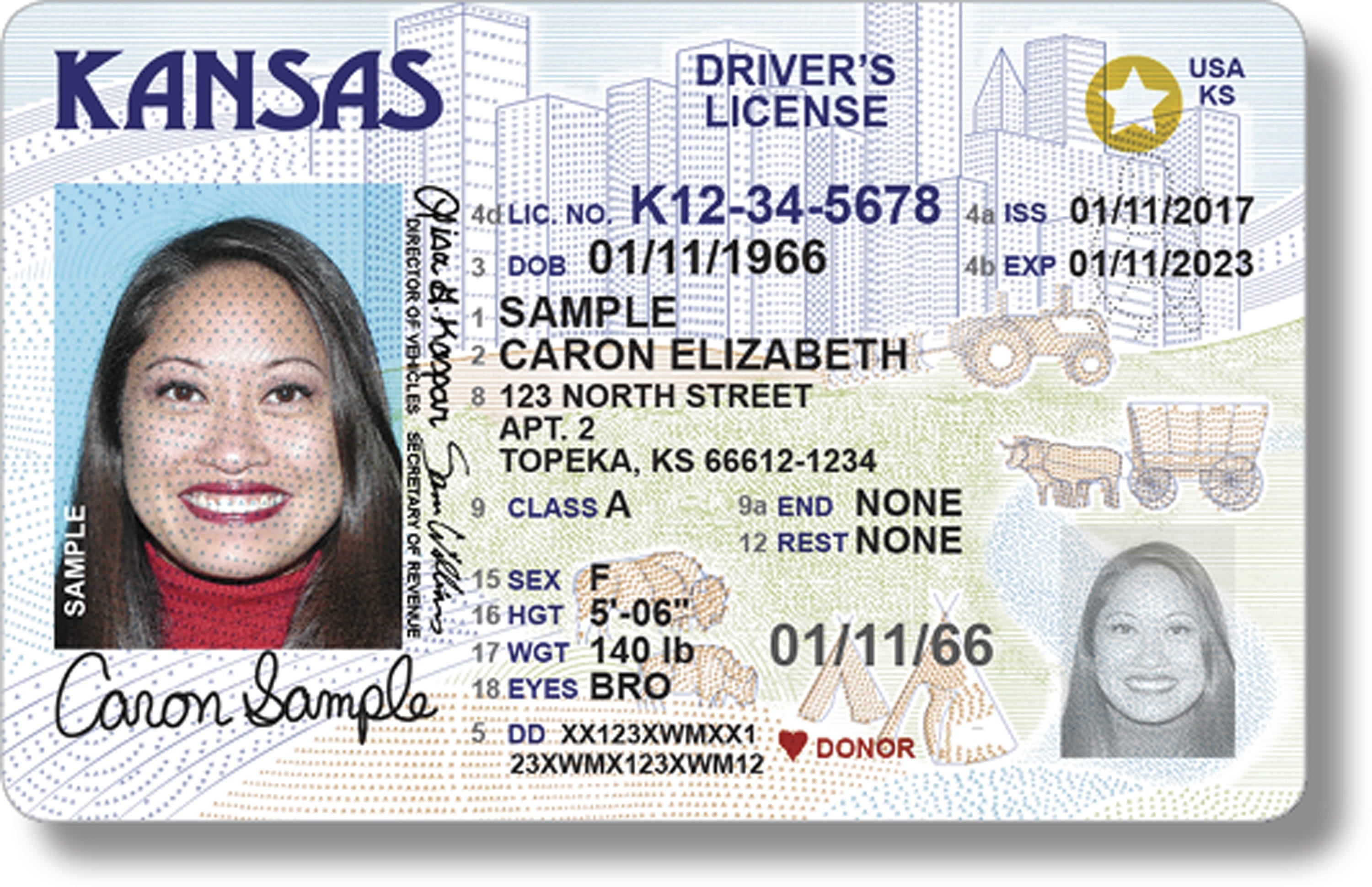 Illinois State Id Card