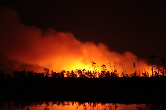 A wildfire burns off County Road 2297 near the city of Callaway in Bay County on Saturday night. [CONTRIBUTED PHOTO]