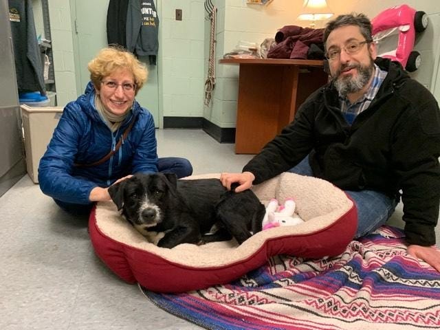Bogart and proud new owners who are are obviously smitten. [PHOTOS COURTESY OF SHELTER PETS TO GO!]