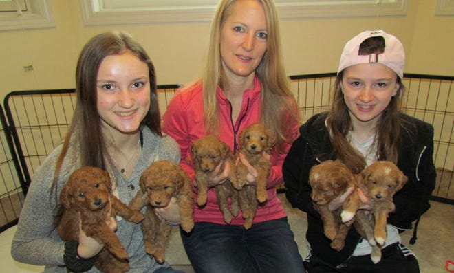 Ashley, Michelle and Jamie Lynn Delarye of Delray’s Doodles treat their puppies like family members.