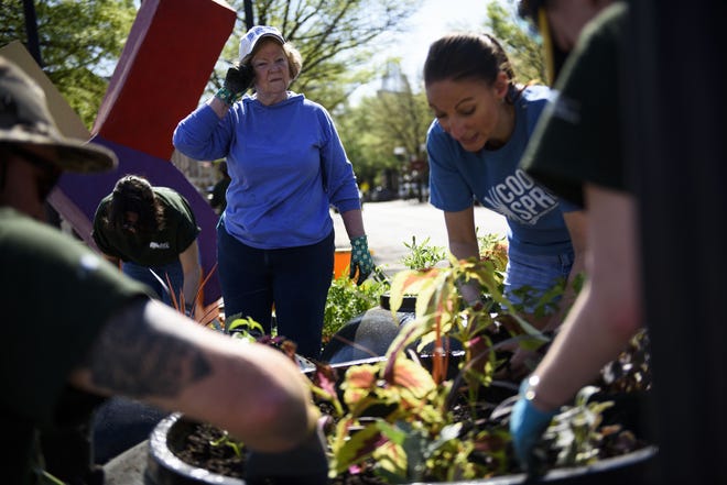 Cool Spring Blooms Garden Club member Betty Goolsey, center, wipes her brow while working with other club members and members of the FTCC Garden Club to fill 'Hurley pots' through out downtown on April 11, 2019. [Melissa Sue Gerrits/The Fayetteville Observer]