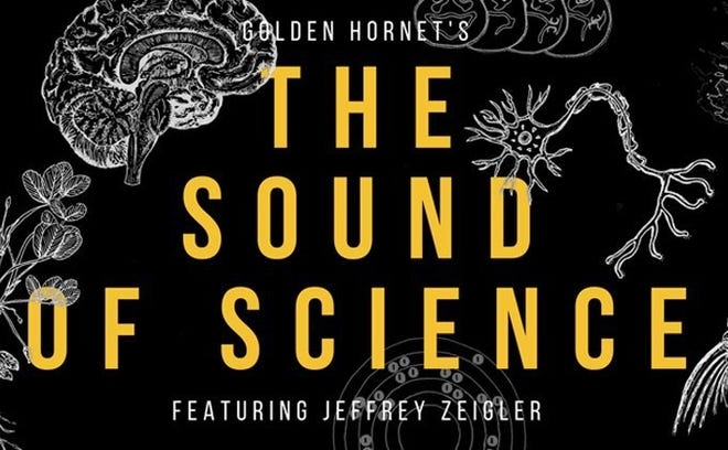 Austin's Golden Hornet is joined by New York's Jeffrey Zeigler and other international artists for "The Sound of Silence" at the Fusebox Festival. [Contributed]