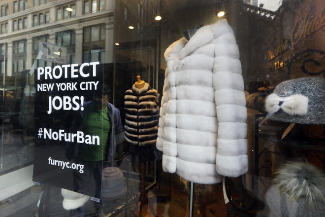 A sign by furnyc.org in the window of Victoria Stass Collection is seen on April 10 in New York's fur district. The fur trade is considered so important to New York's development that two beavers adorn the city's official seal, a reference to early Dutch and English settlers who traded in beaver pelts. [Richard Drew/AP Photo]
