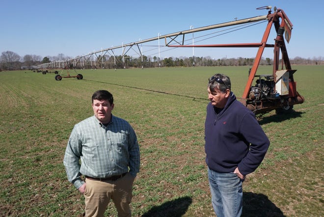 Dawson Hodgson, owner of Sodco turf farm, and John Eidson, farm manager, stand in the 45-acre field where they plan to grow industrial hemp. [Providence Journal photo / Sandor Bodo]