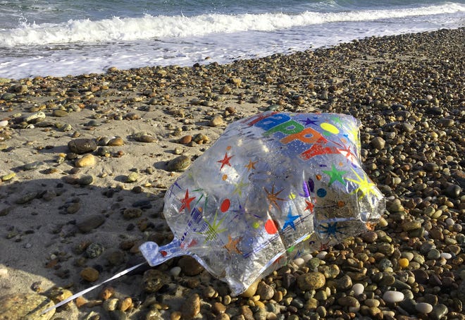 A helium birthday balloon loses its lift and is marooned on the rocks of Sandy Neck Beach in Barnstable. Balloons and balloon strings were 6th on the Top 10 list of items found in a Coastweep cleanup of two beaches in Provincetown. [Steve Heaslip/Cape Cod Times]