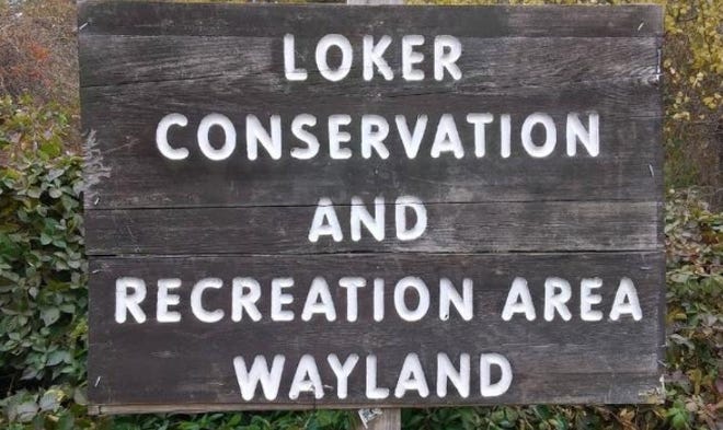 The Wayland Conservation Commision has again deadlocked, this time 3-3, on a proposed $3.7 million artificial turf field at the Loker Conservation and Recreation Area. [Daily News Staff file photo / Henry Schwan]