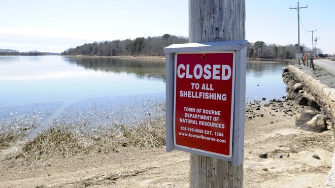 A sign near the Toby's Island bridge in Monument Beach warns of closed shellfishing beds. [Ron Schloerb/Cape Cod Times]