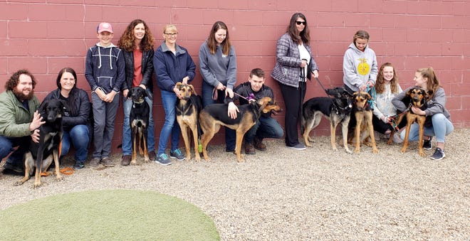 On Saturday, April 27, a canine family was reunited at Dogs Bay North in Holland Township. [Contributed]