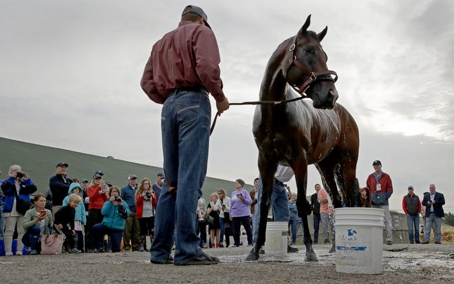 Kentucky Derby favorite Omaha Beach gets a bath after a workout at Churchill Downs Tuesday. [ CHARLIE RIEDEL/THE ASSOCIATED PRESS ]