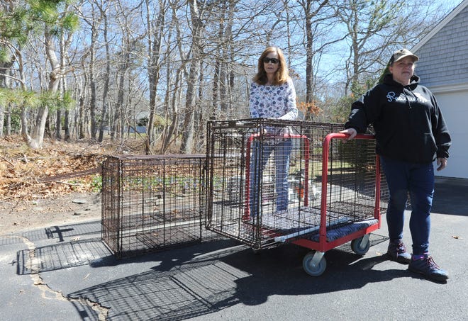 Judith Wilson, left, and Kate Sears with the equipment they use to locate and trap missing dogs and other animals. The red dolly was donated by the owners of a Newfoundland named Lyoness that the women helped to locate when she went missing in 2017. [Merrily Cassidy/Cape Cod Times]