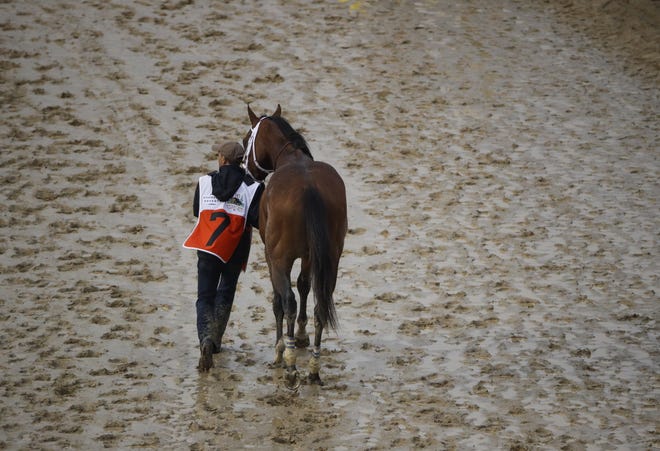 Maximum Security is walked off the track after being disqualified from the Kentucky Derby on Saturday. [Charlie Riedel/Associated Press]