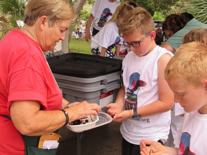 Digging into a worm farm, students get hands on experience with the St. Johns County Master Gardeners at the 10th Annual Kids Ocean Day Florida at Anastasia State Park in St. Augustine on May 3, hosted by the Friends of A1A Scenic & Historic Coastal Byway. [PHOTO PROVIDED]