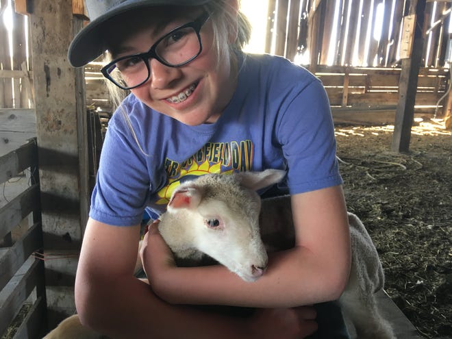 Abby Hutton snuggles with one of her orphan lambs. the fun never ends at the Graham Ranch.