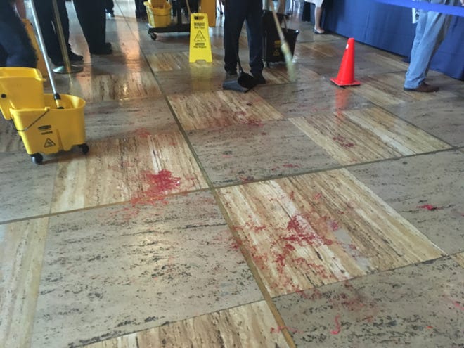 Abortion rights advocates poured fake blood on the floors of Memorial Hall at the Louisiana state capitol Wednesday in protest of the "fetal heartbeat" bill that advanced out of House and Senate committees. The protests led to several arrests.