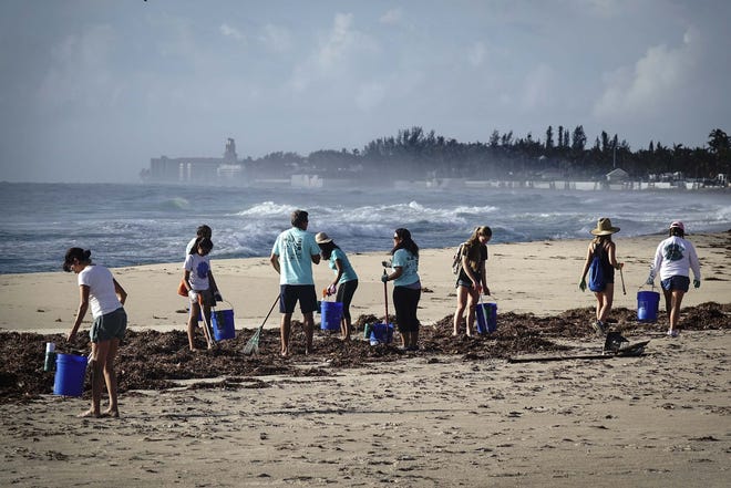 Volunteers pick up trash from the beach in September 2017. An estimated 75 percent of all debris found on beaches is plastics, says Diane Buhler, founder of Friends of Palm Beach. [Bruce R. Bennett/Daily News file photo]