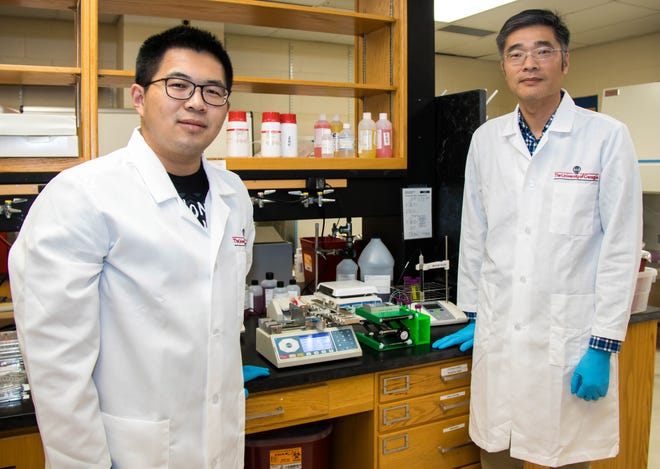 Leidong Mao (right) and graduate student Yang Liu stand in Mao's lab at UGA. [Contributed]
